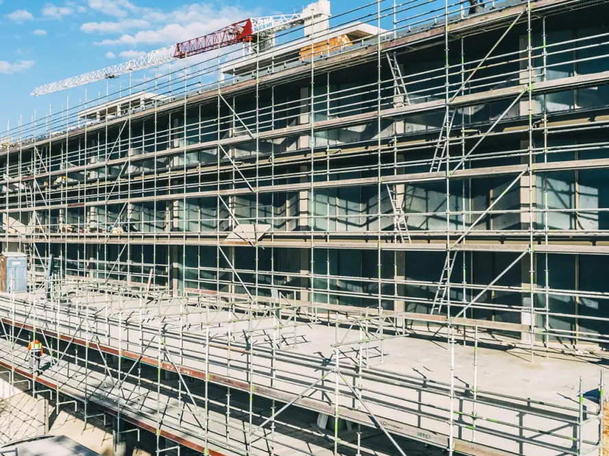 MUNDET | Género Inédito